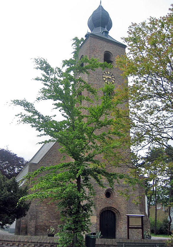 Westvoorne-5