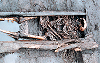 Hele oude dingen - Archeologie
